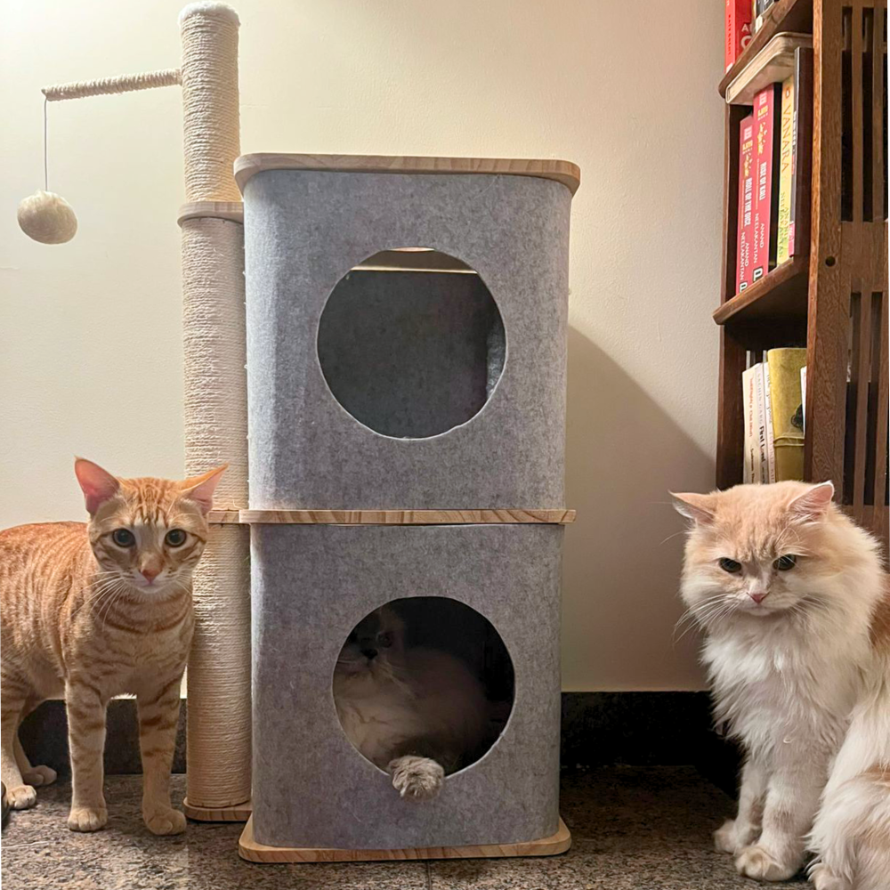 FurryLiving Nara Dual-Level Felt Condo with Scratch Pole & Hanging Toy Cat Tree Cats-Toys FurryLiving Dropship