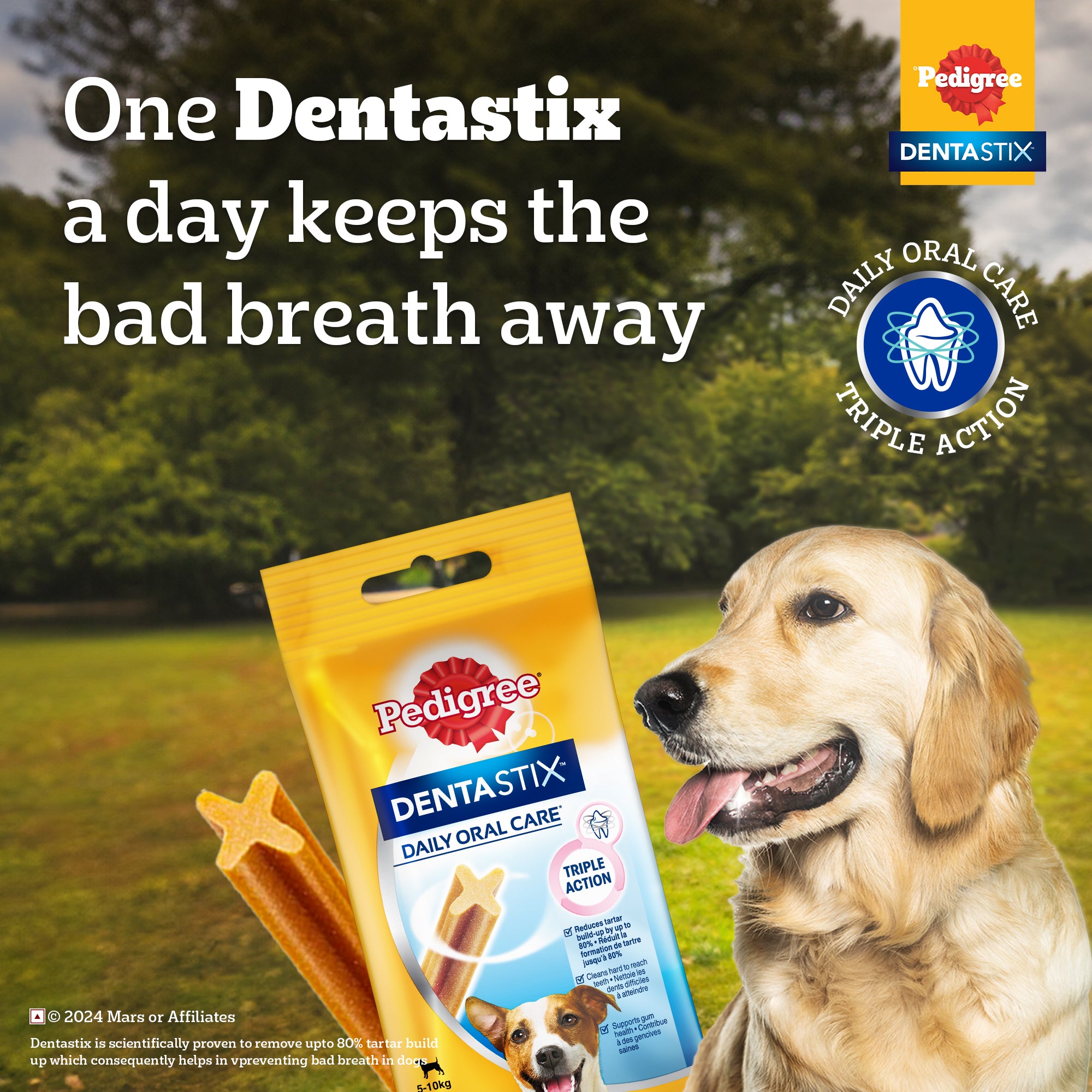 Pedigree Dentastix Oral Care for Adult (Large Breed of 25 kg+) Dog Treats