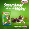 Kitekat Ocean Fish Adult Cat Dry Food Cats- Dry food Kitekat