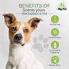 Groom My Pet Lemongrass & Pine Pampered Pooch Cologne for Dogs Dogs-Grooming Supplies Groom My Pet Dropship