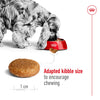 Royal Canin Medium Adult Dog Dry Food Dogs- Dry Food Royal Canin