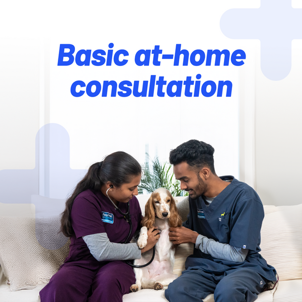 Visiting Charges - At Home Vet