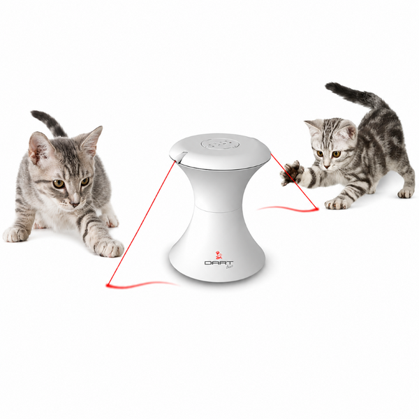 PetSafe FroliCat Dart Automatic Rotating Laser Toy for Cats