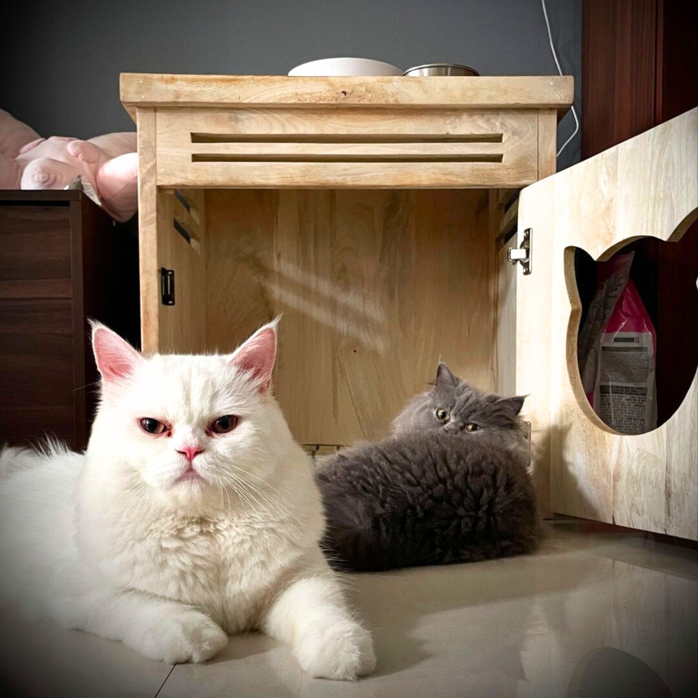 FurryLiving Meraki Cabinet with Cushion for Small Dogs and Cats (Oak/Brown Cushion) Both-Furniture FurryLiving Dropship