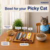Purepet Ocean Fish Adult Cat Dry Food Cats- Dry food Purepet