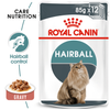 Royal Canin Hairball Care Wet Cat Food (85g Pouch) Cats-Wet Food Royal Canin