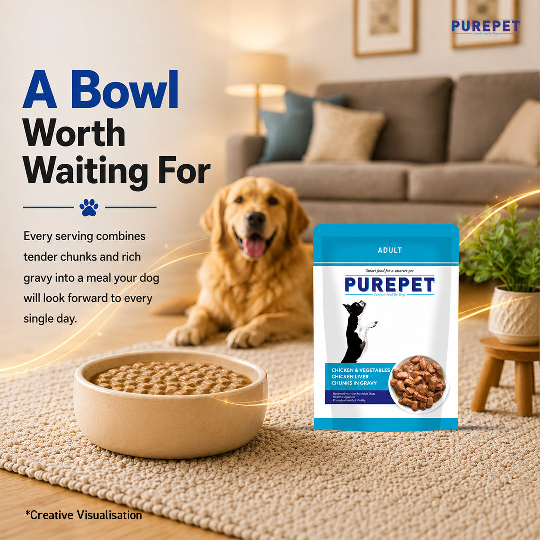 Purepet Chicken & Vegetable Chunks in Gravy Adult Dog Wet Food Dogs-Wet Food Purepet