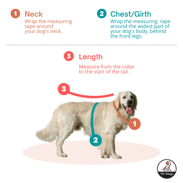 Petsnugs Dino Snug Hoodie for Dogs and Cats (Black)