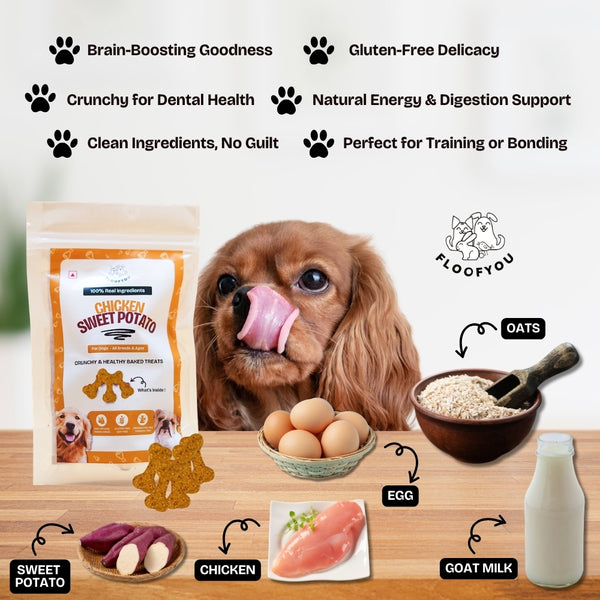 Floofyou Chicken Sweet Potato Oven Baked Cookie Dog Treats