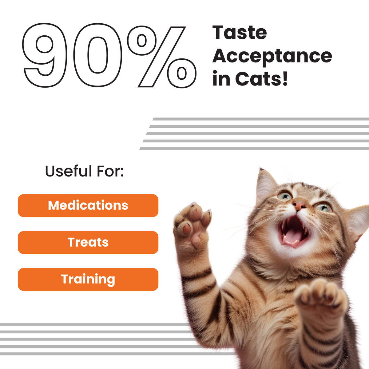 Bark Out Loud Anti Anxiety Easy Pill for Cats (Limited Shelf Life) Cats-Health & Wellness Bark Out Loud