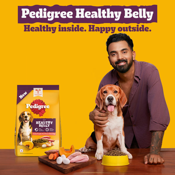 Pedigree New Healthy Belly Adult Dog Dry Food