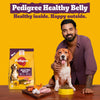 Pedigree New Healthy Belly Adult Dog Dry Food Dogs- Dry Food Pedigree