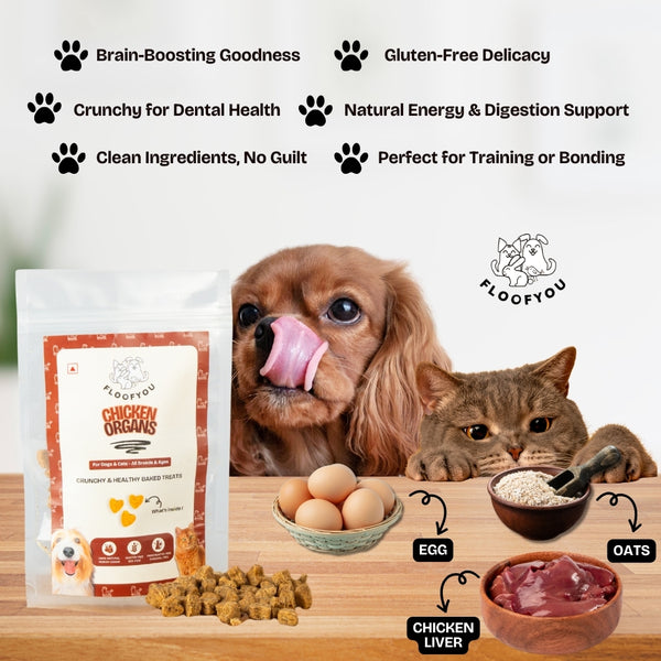 Floofyou Chicken Organs Oven Baked Cookie Dog Treats