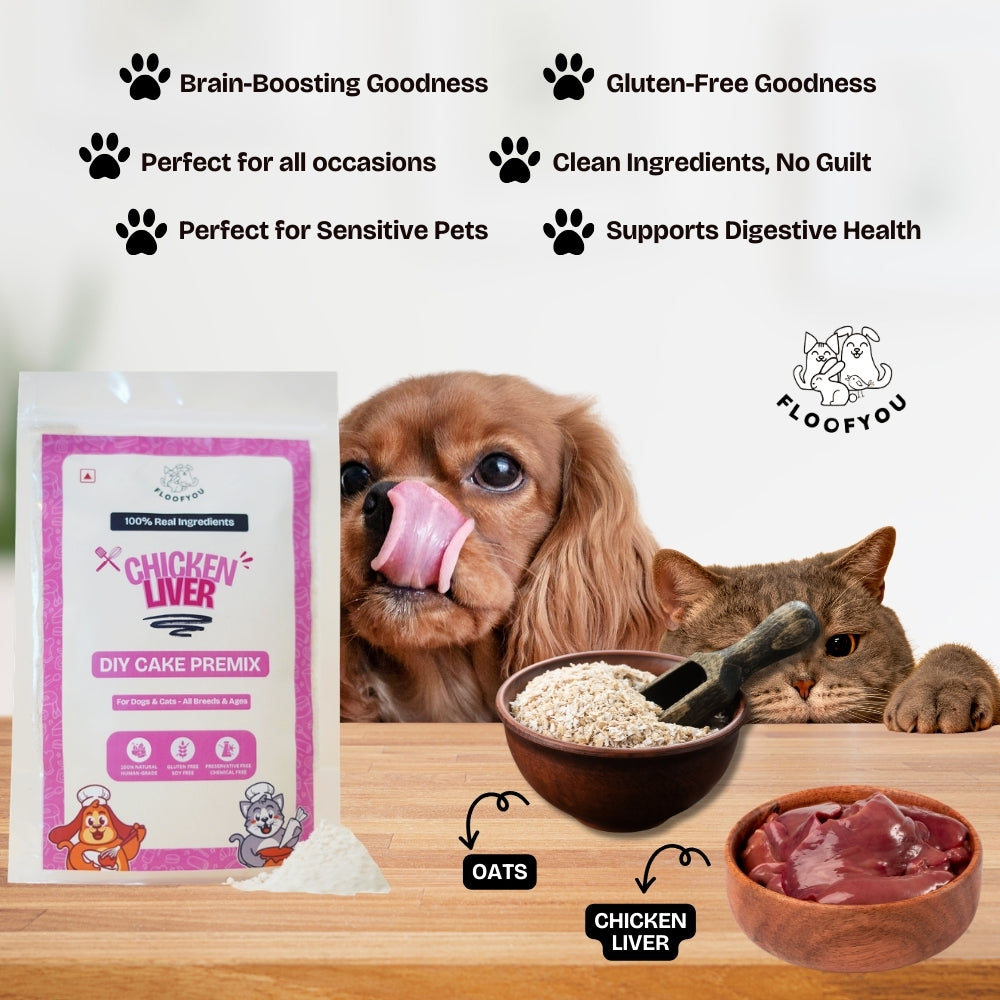 Floofyou Home Made Chicken Liver Birthday Cake Mix for Dogs and Cats Dog Treats + Others FloofYou
