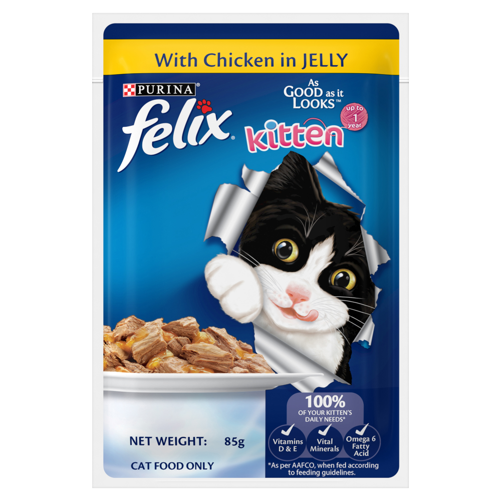 Purina Felix Chicken with Jelly Kitten Wet Food Cats-Wet Food Felix