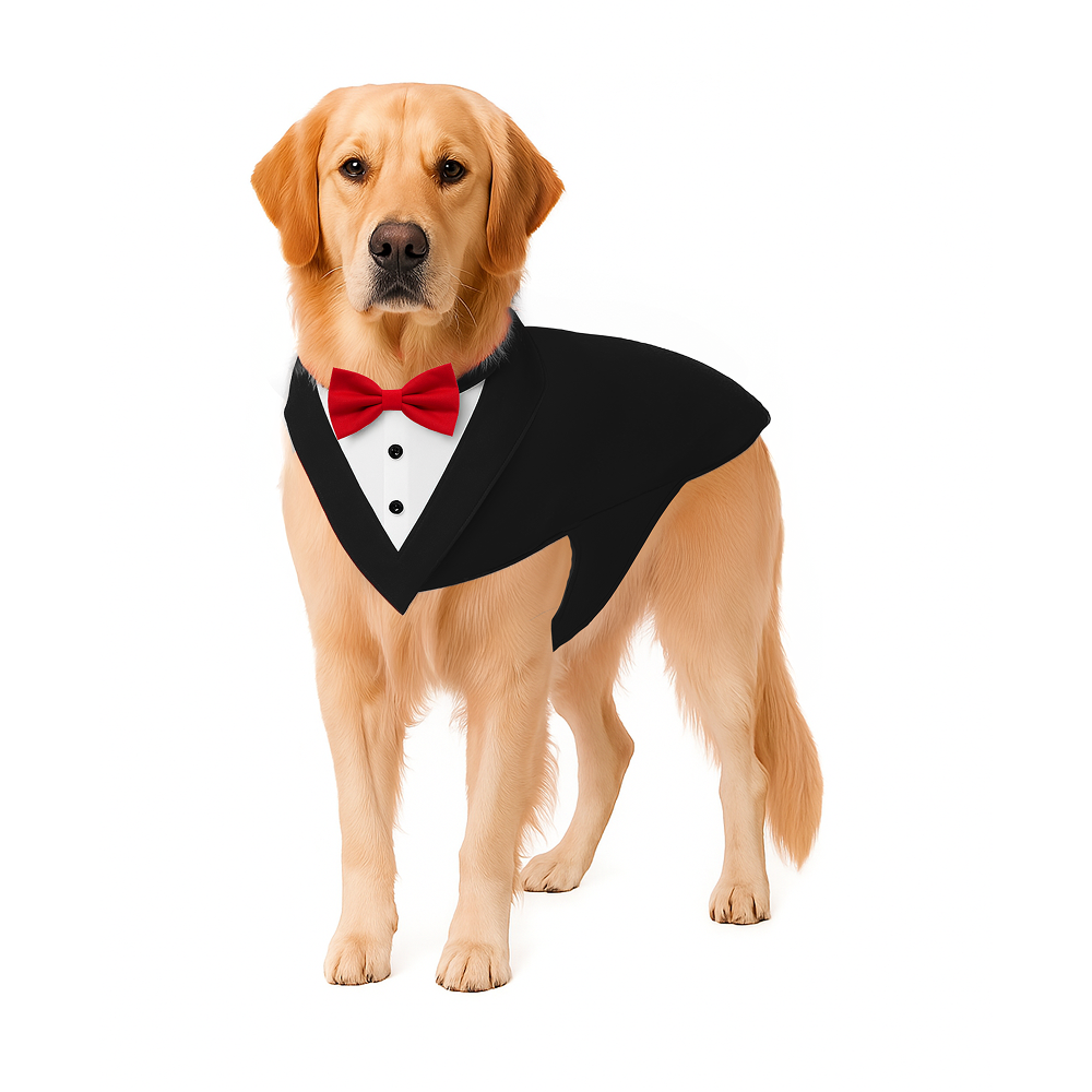 PawsIndia Black and White Tuxedo Suit for Dogs Dogs-Clothing & Accessories Pawsindia Dropship M