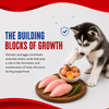 Drools Optimum Performance Puppy Dog Dry Food Dogs- Dry Food Drools