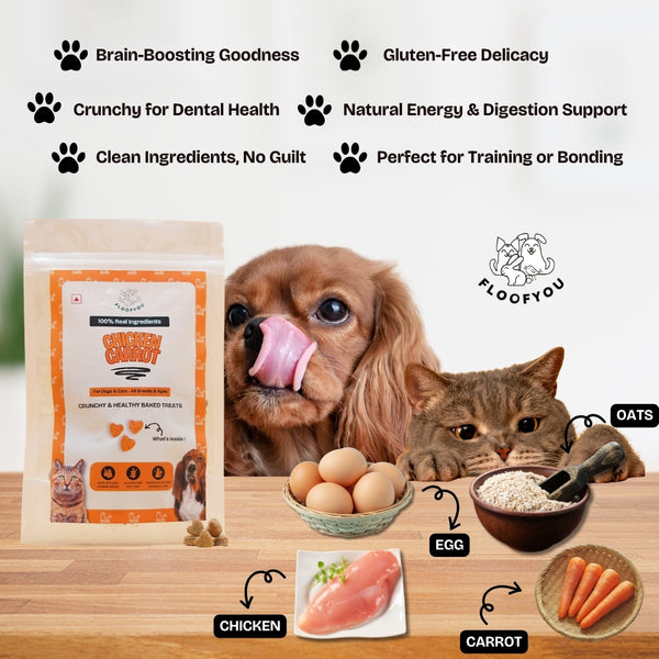 Floofyou Chicken Carrot Oven Baked Cookie Dog Treats