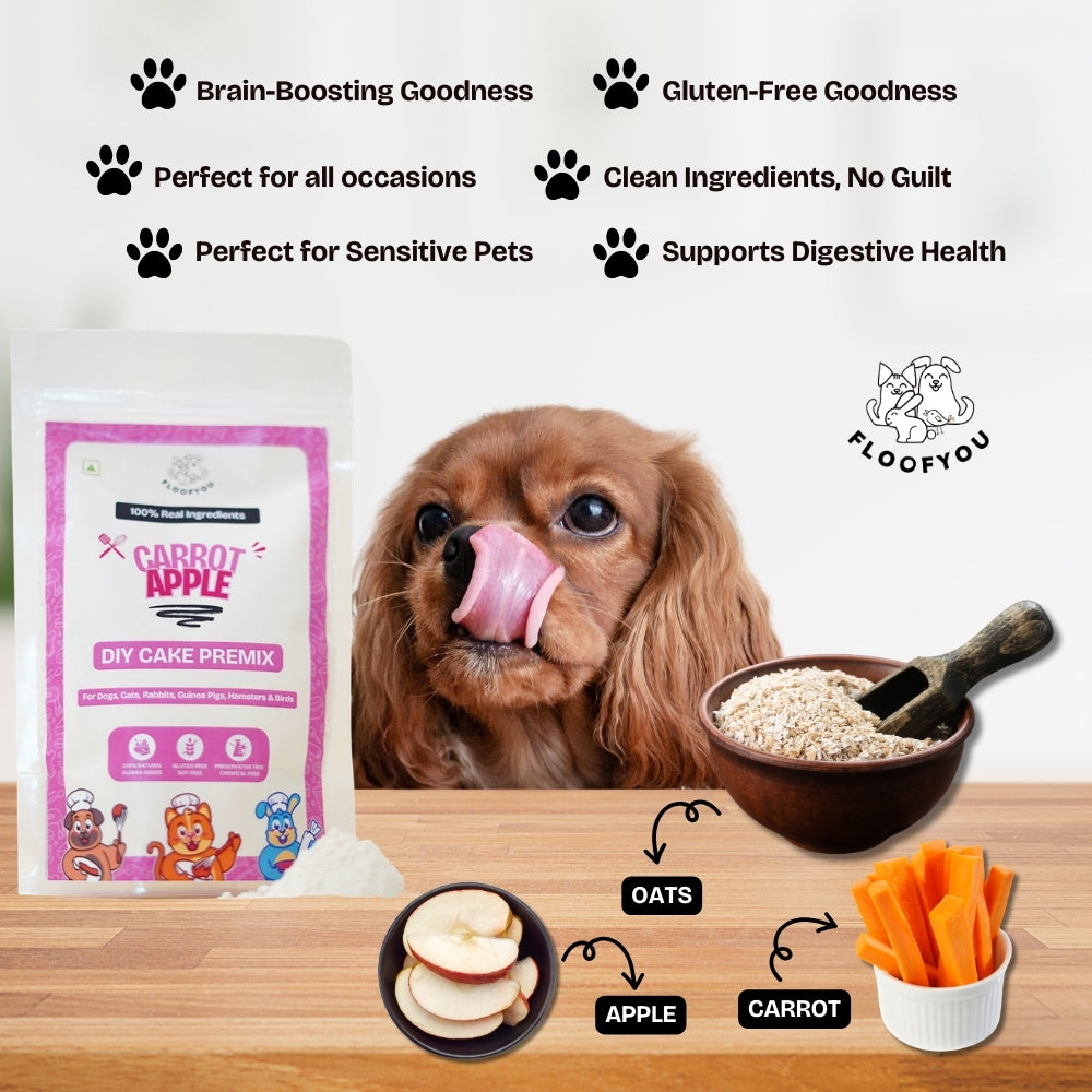 Floofyou Home Made Carrot Apple Birthday Cake Mix for Dogs and Cats Dog Treats + Others FloofYou