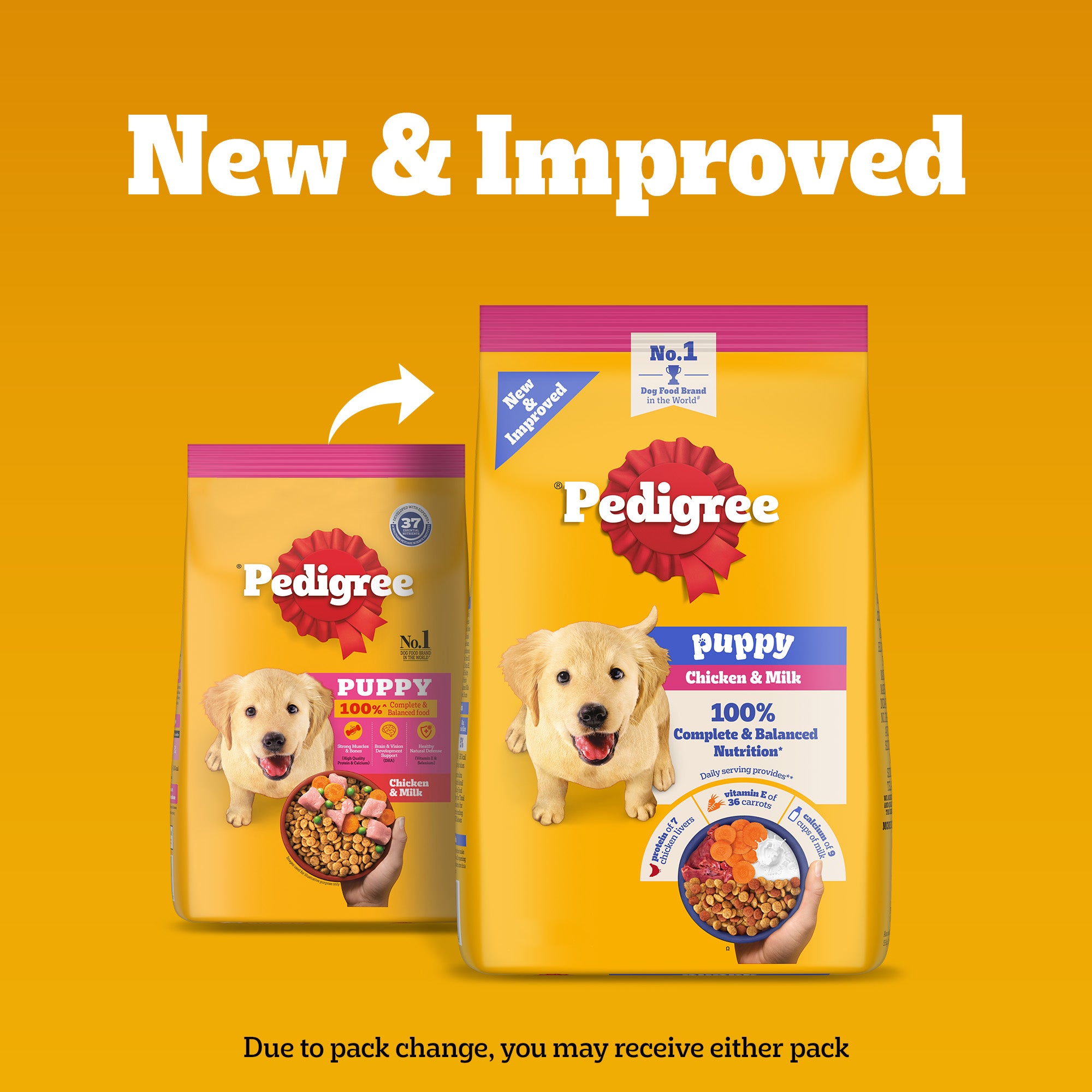 Pedigree Chicken and Milk Puppy Dog Dry Food