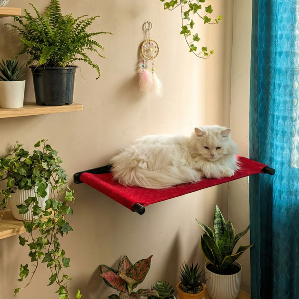 FurryLiving Kiki Wall Mounted Perch for Cats (Black/Red)
