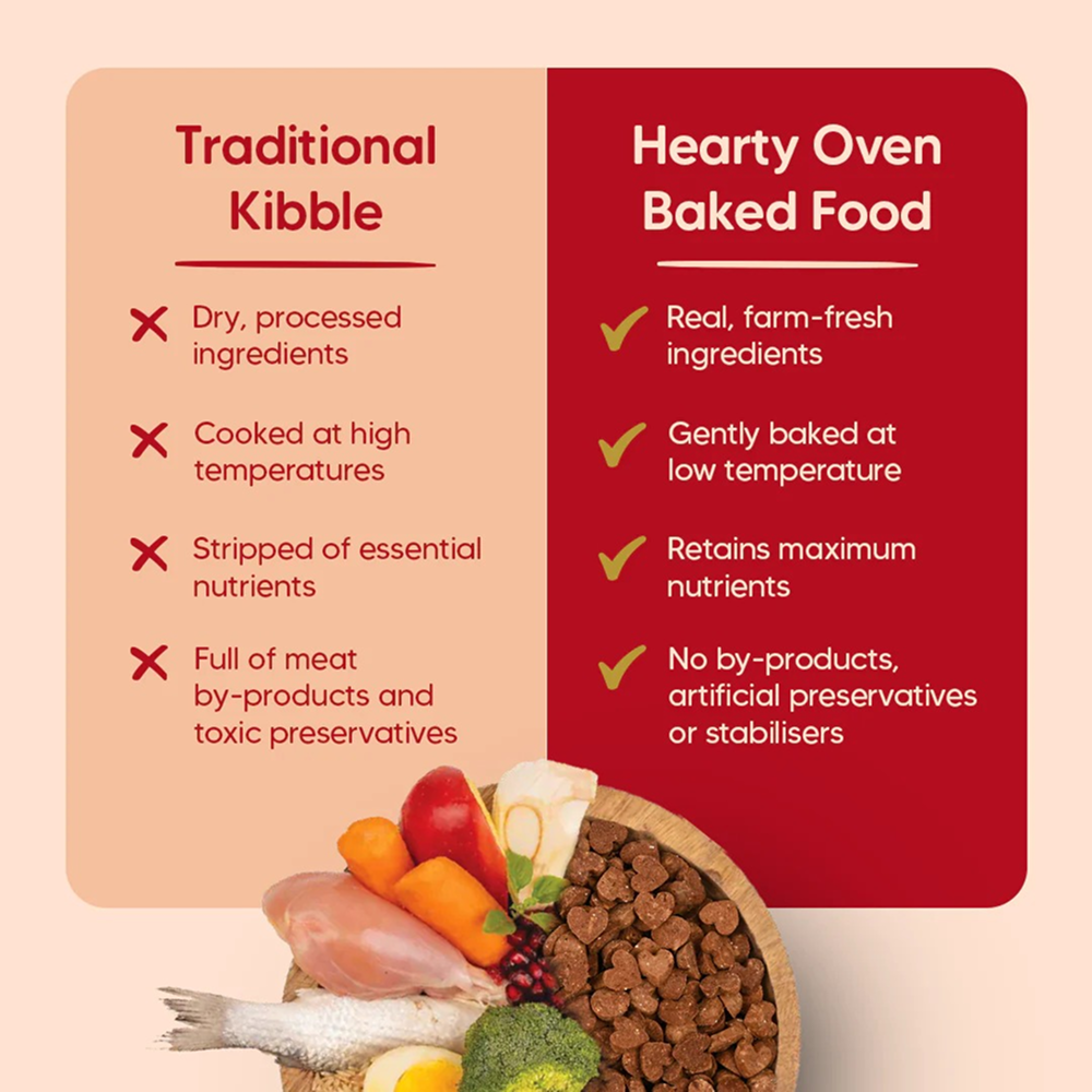 HUFT Hearty Oven Baked Chicken & Fish with Superfoods Puppy Dog Dry Food Dogs- Dry Food Heads Up for Tails