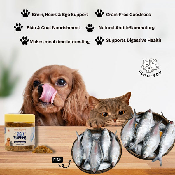 FloofYou Fish Topper for Dogs & Cats
