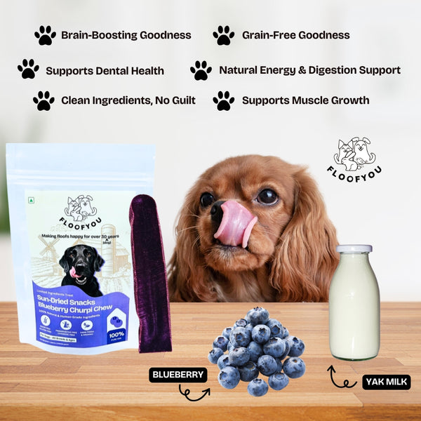 Floofyou Sun Dried Pure Veg Blueberry Yak Chew Bars Dental Dog Treats