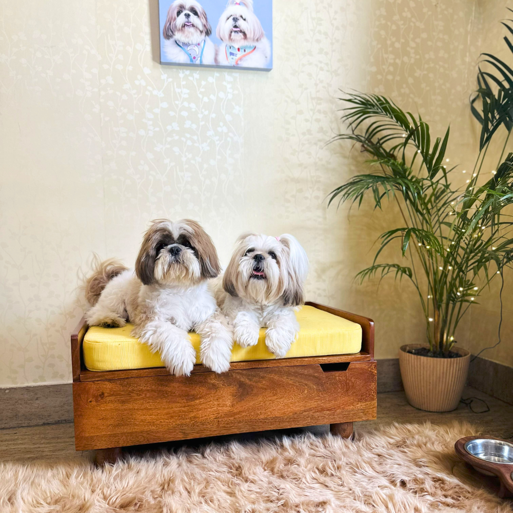 FurryLiving Hibachi Bed with Storage for Dogs (Honey/Yellow Cushion) Both-Furniture FurryLiving Dropship