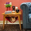FurryLiving Lola Side Table with Perch Fabric for Cats (Honey/Red) Cats-Furniture FurryLiving Dropship