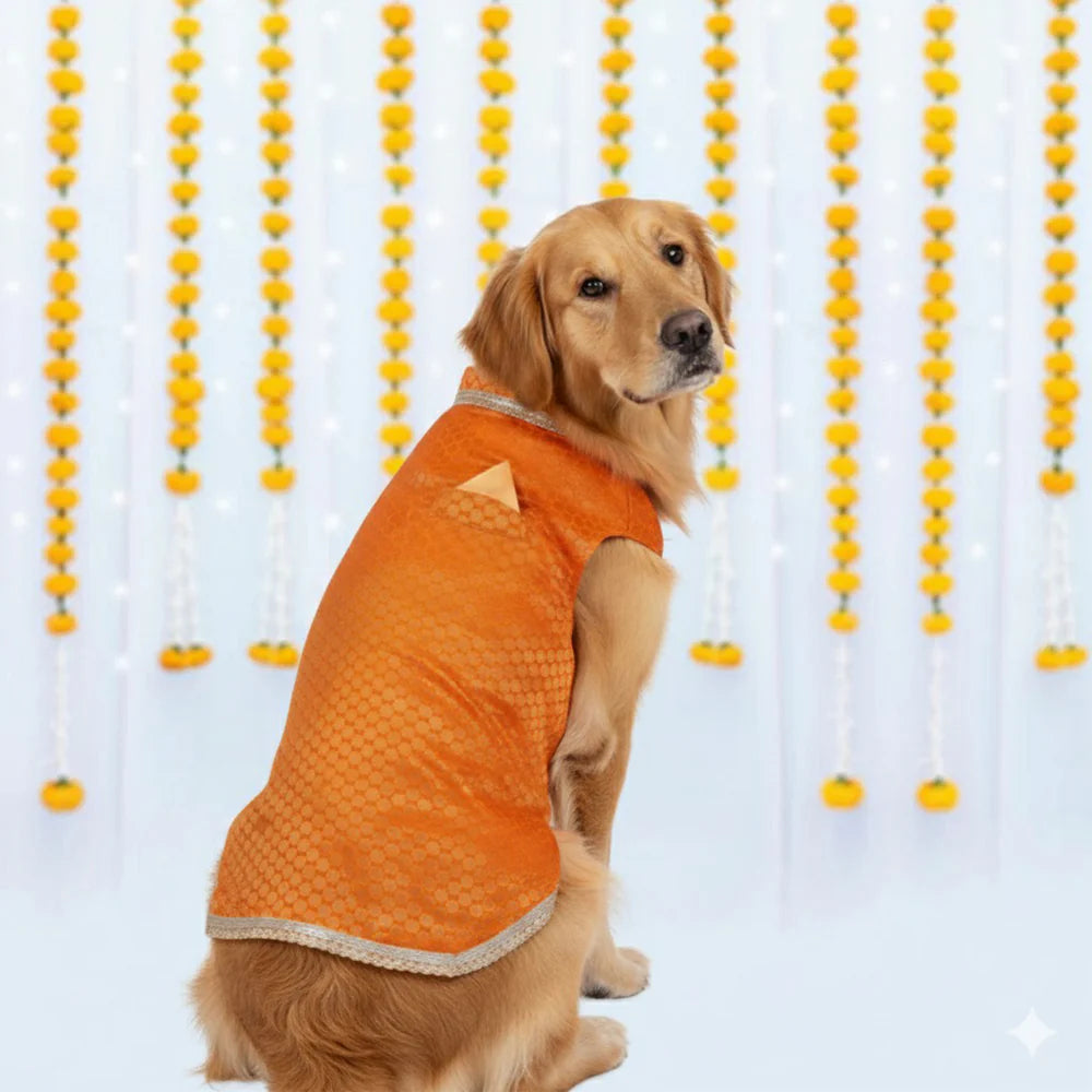 Pet Set Go Kurta with Bowtie for Dogs (Orange) Dogs-Clothing & Accessories Pet Set Go Dropship