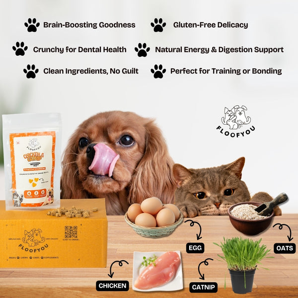 Floofyou Chicken Catnip Oven Baked Cookie Dog Treats