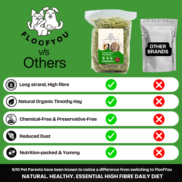 FloofYou Premium Timothy Hay for Small Animals