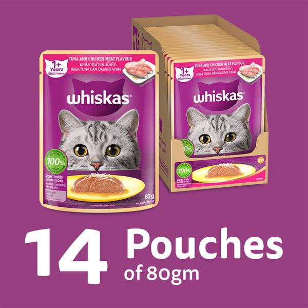 Whiskas Junior Tuna and Chicken Meat in Jelly Flavour Adult (1+ years) Cat Wet Food
