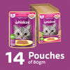 Whiskas Junior Tuna and Chicken Meat in Jelly Flavour Adult (1+ years) Cat Wet Food Cats-Wet Food Whiskas