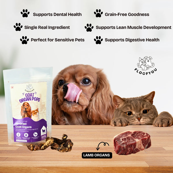 Floofyou Air Dried High Protien Goat Organs Jerky Dog & Cat Treats