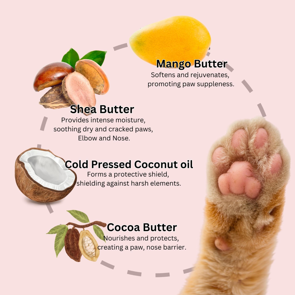 DOGZ & DUDEZ Mango Butter Paw Cream for Dogs and Cats Both-Grooming Supplies DOGZ & DUDEZ