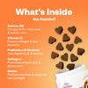 TailsAlive Probiotic Chicken Flavor and Skin & Coat Soft Chews Supplements for Dogs Dogs-Health & Wellness TailsAlive