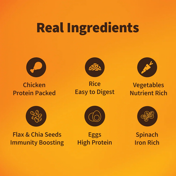 NutriWag Daily Delight Chicken, Spinach & Rice Dog Wet Food