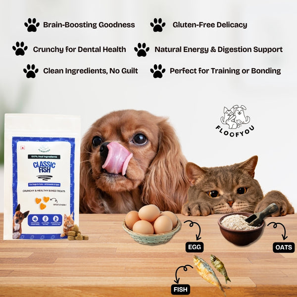 Floofyou Fish Oven Baked Cookie Dog and Cat Treats