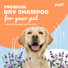 Pupr Dry Bath Lavender Flavoured Shampoo for Dogs Dogs-Grooming Supplies Pupr Dropship