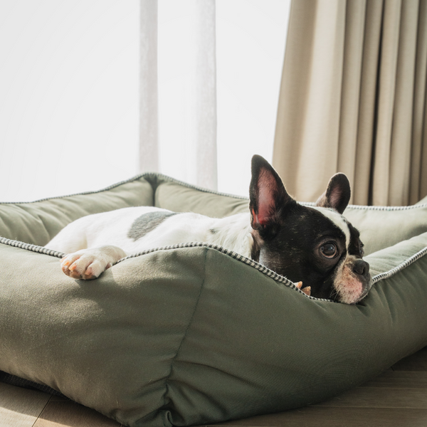 Pet Set Go The Olive Lounger for Dogs