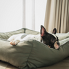 Pet Set Go The Olive Lounger for Dogs Dogs-Bedding, Mats & Travel Supplies Pet Set Go Dropship