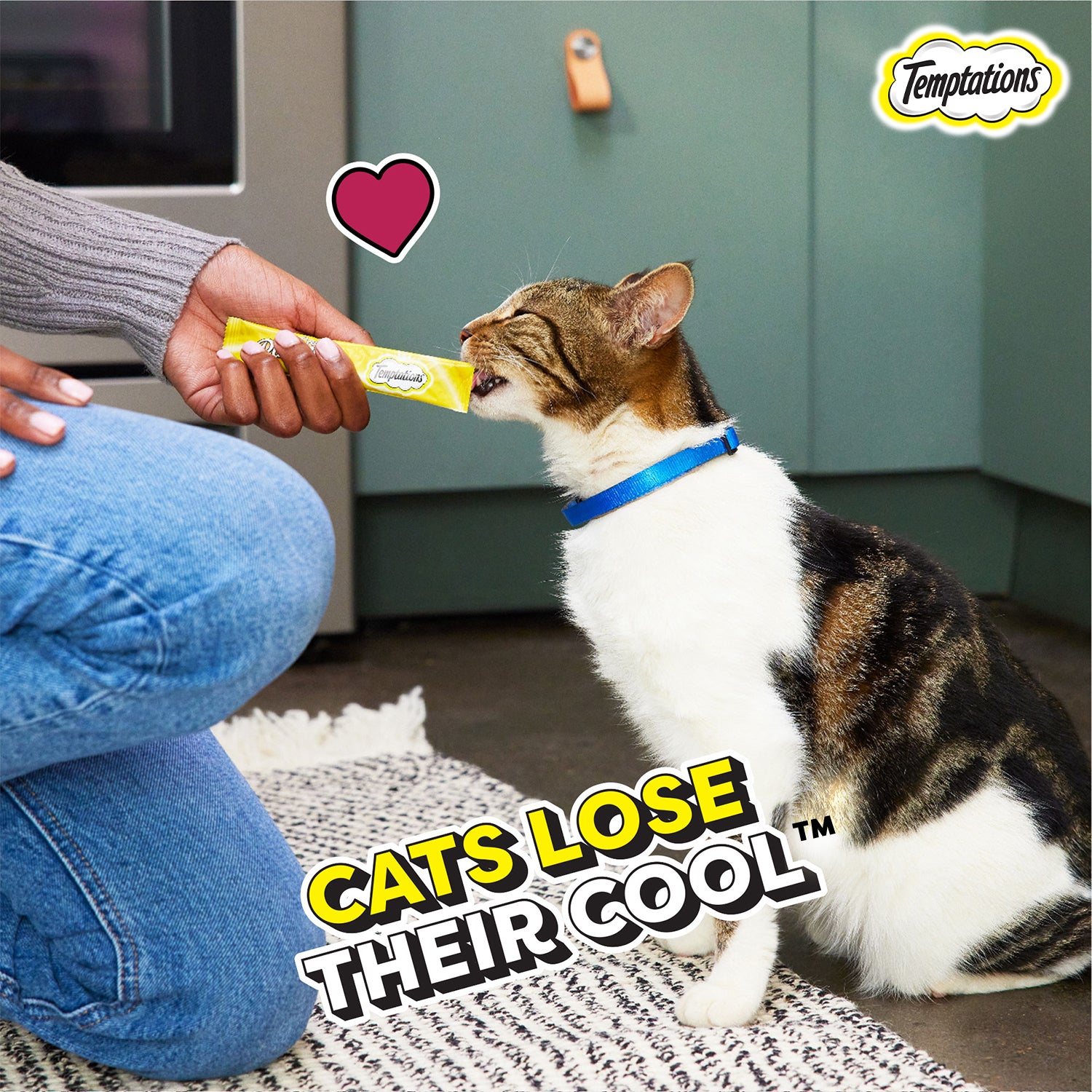 Temptations Creamy Purrrr ee Salmon & Cheese Cat Treats Cats-Treats & Others Temptations