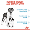 Royal Canin Giant Breed Dog and Puppies Starter Dog Dry Food Dogs- Dry Food Royal Canin