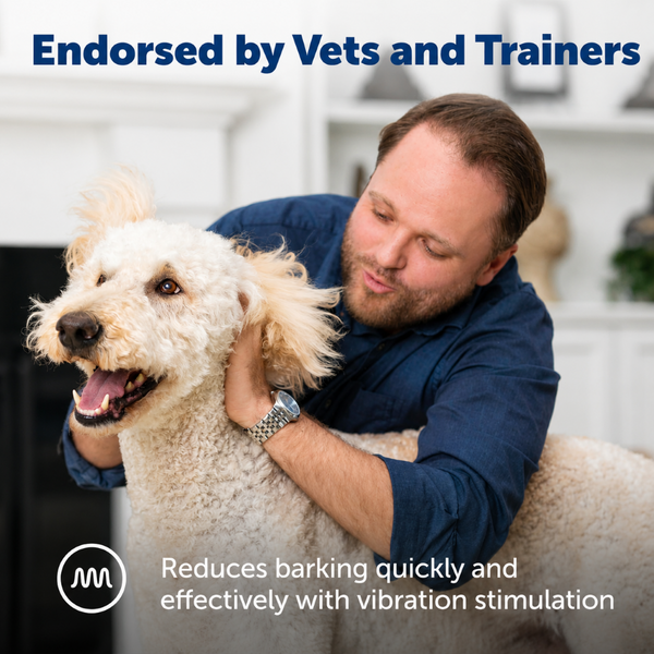 PetSafe VBC 10 Vibration Bark Control Collar for Dogs