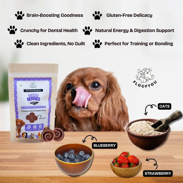 Floofyou Mixed Berries Vegan Oven Baked Cookie Dog Treats