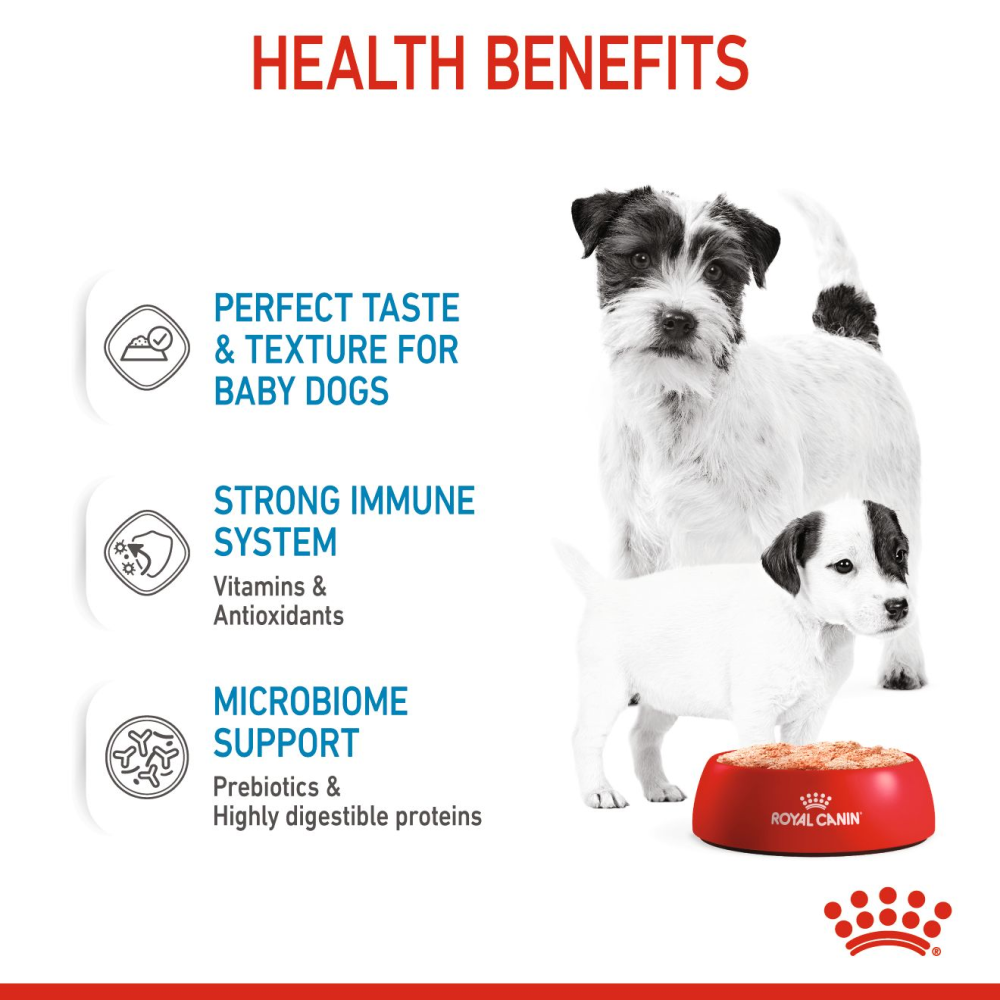 Royal Canin Mousse Mother and Baby Starter Dog Wet Food Dogs-Wet Food Royal Canin