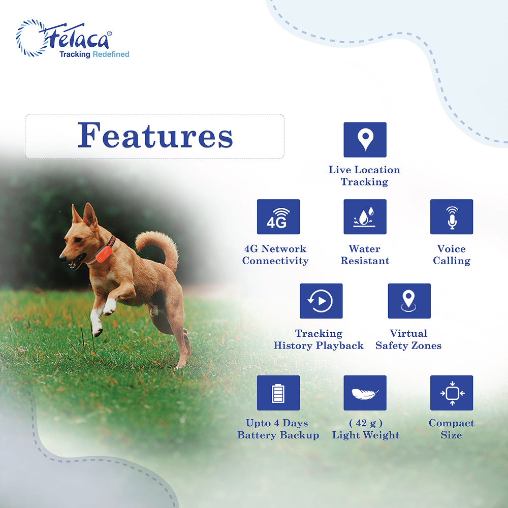 FeTaca Smart 4G GPS Tracker with Lifetime Free Tracking & 1 Year Data SIM Subscription for Dogs and Cats (Orange) Both-Collar, Leashes, harnesses FeTaca Dropship