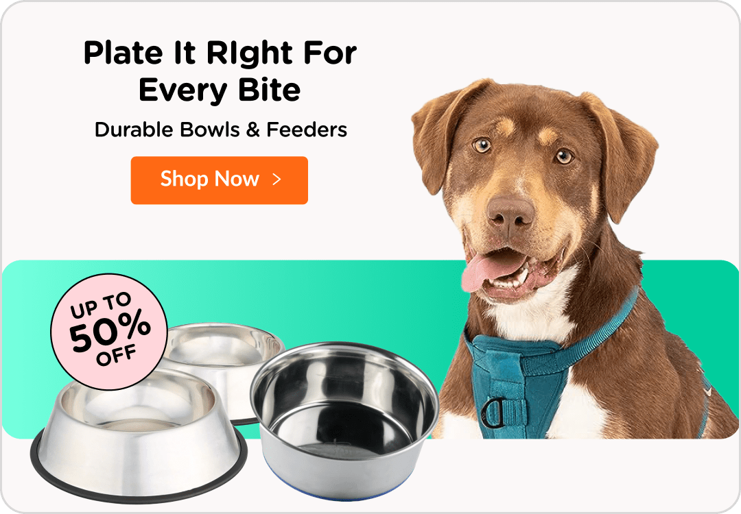 Pet Products Near Me